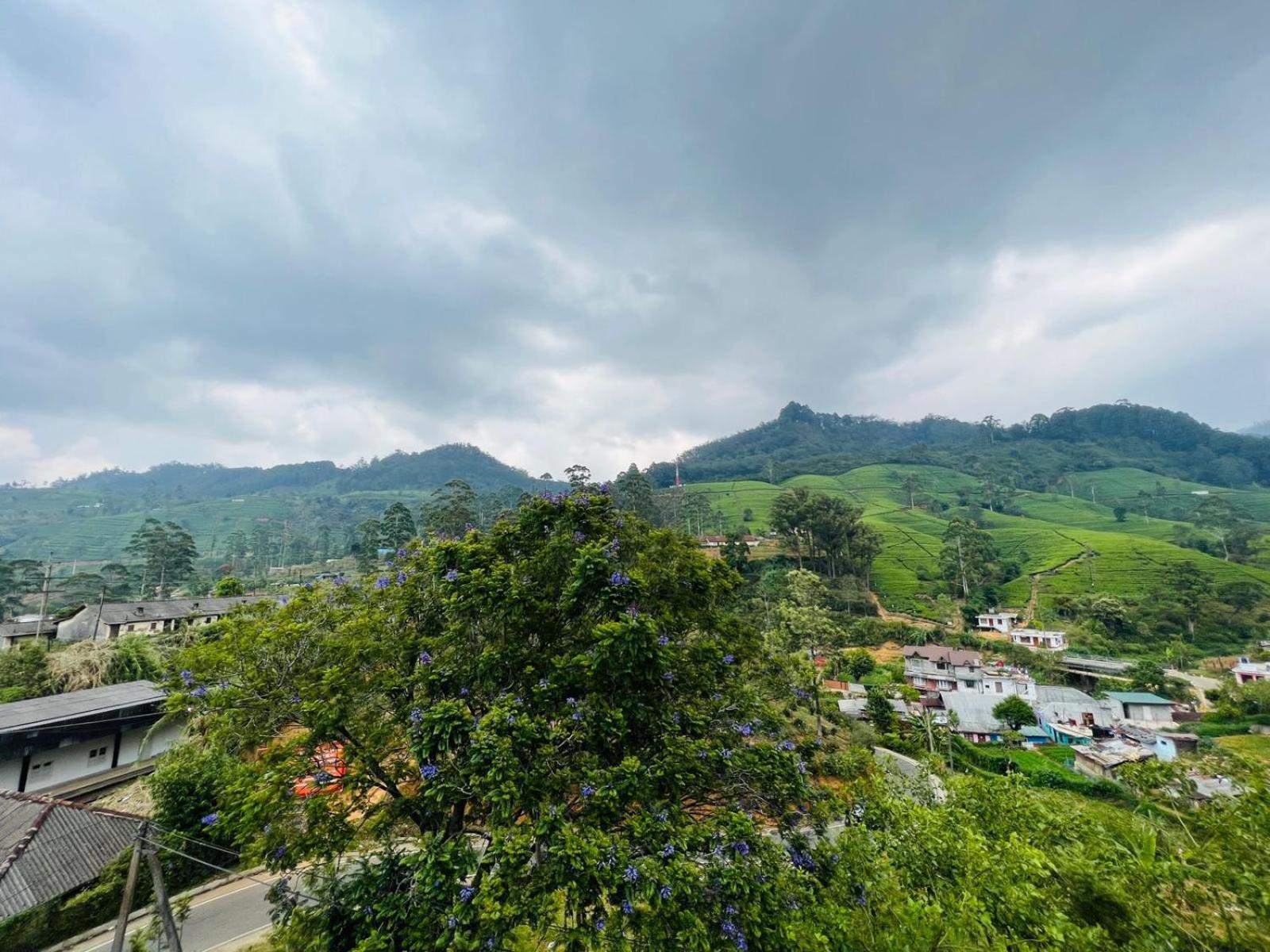 Dream Stay Green นูวาราเอลิยา ภายนอก รูปภาพ